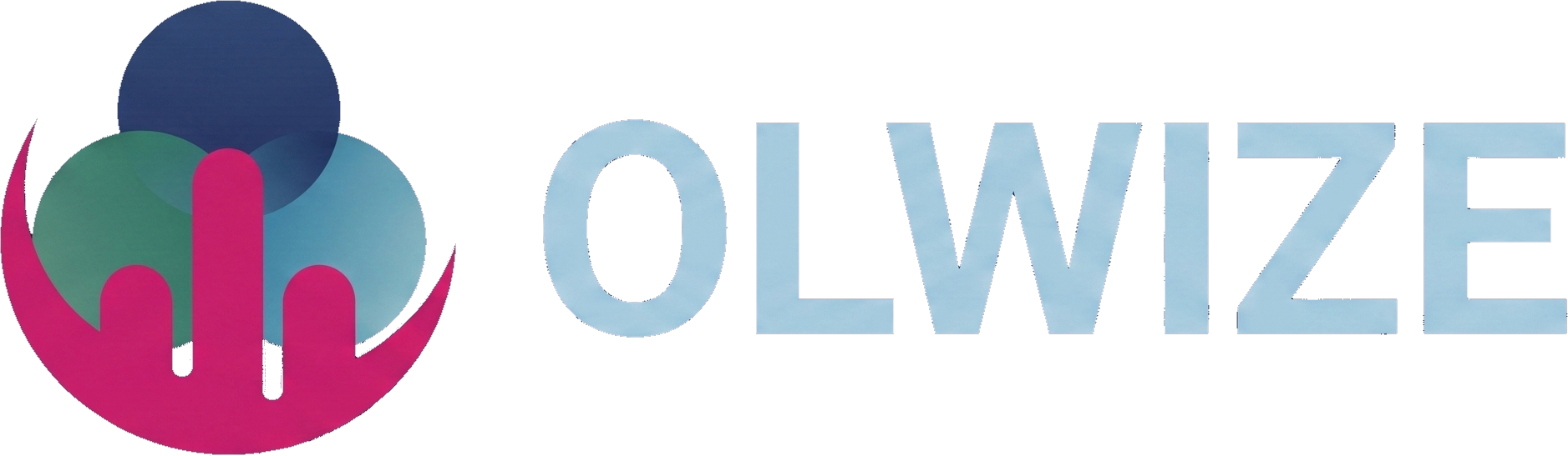 OLWIZE